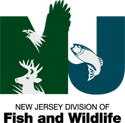 NJ Fish and Game